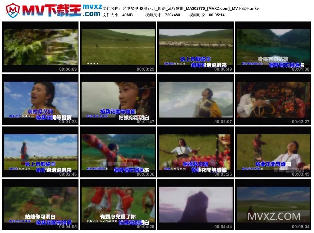 容中尔甲-格桑花开_国语_流行歌曲_MA302770